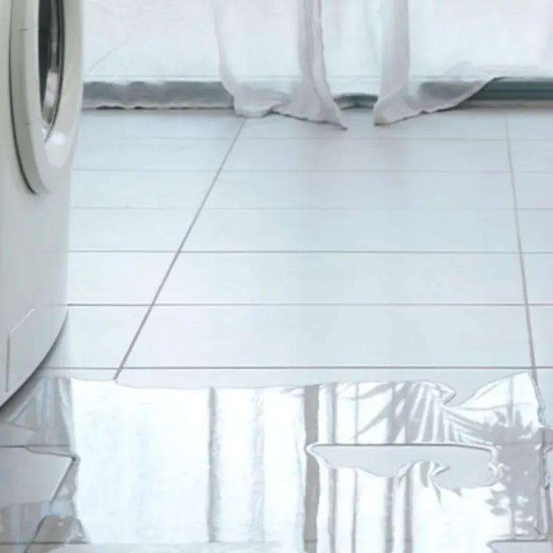 Appliance Leak Cleanup in Maysville, GA